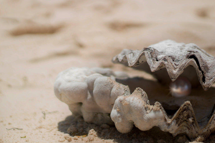 Pearls in Traditional Chinese Medicine